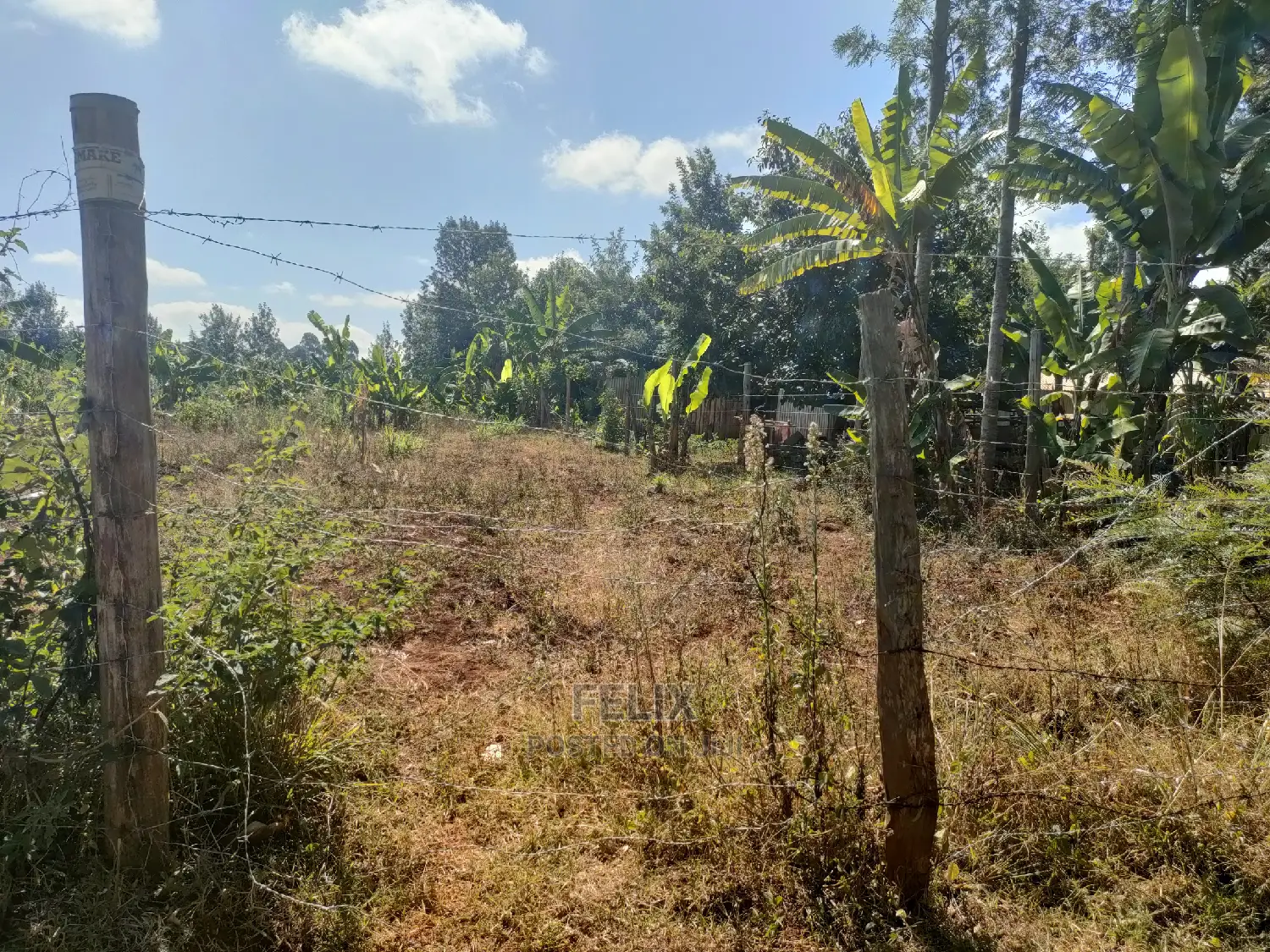 Nyeri/Marua Kahiga Plots