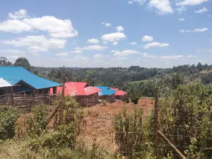 Nyeri/Othaya Town 1/2 Acre