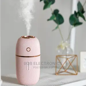300mls Portable Humidifier For Home And Car
