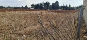 Commercial Plot for Sale in Naibery Etouching Tarmac Ldoret