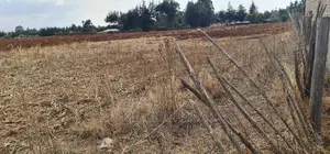 Commercial Plot for Sale in Naibery Etouching Tarmac Ldoret