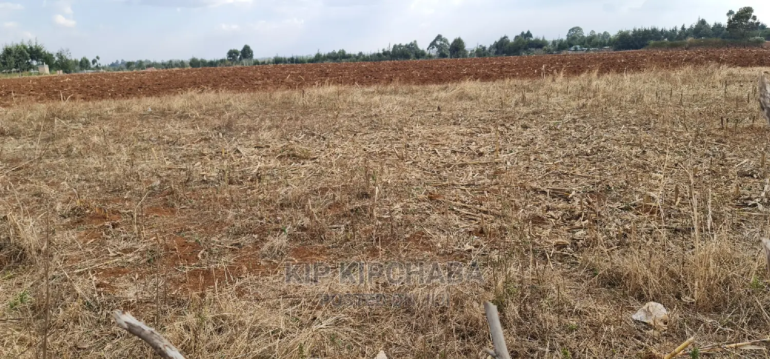 Commercial Plot for Sale in Naibery Etouching Tarmac Ldoret
