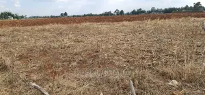 Commercial Plot for Sale in Naibery Etouching Tarmac Ldoret