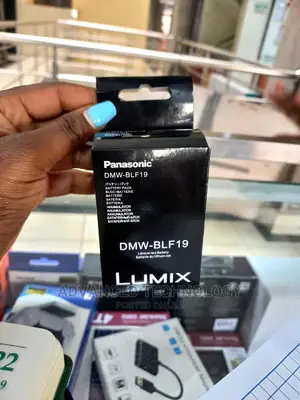 Lumix BLF 19 Battery