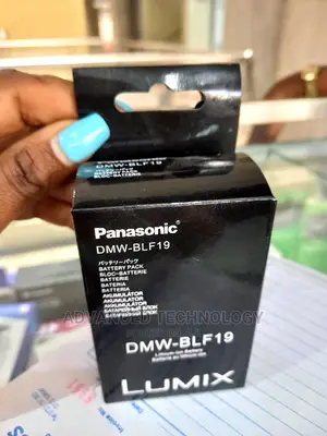 Lumix BLF 19 Battery