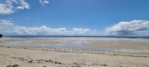 Vipingo Sandy Beach Plot on Sale - thumbnail 4