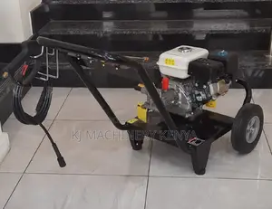 Aico 3000psi Petrol