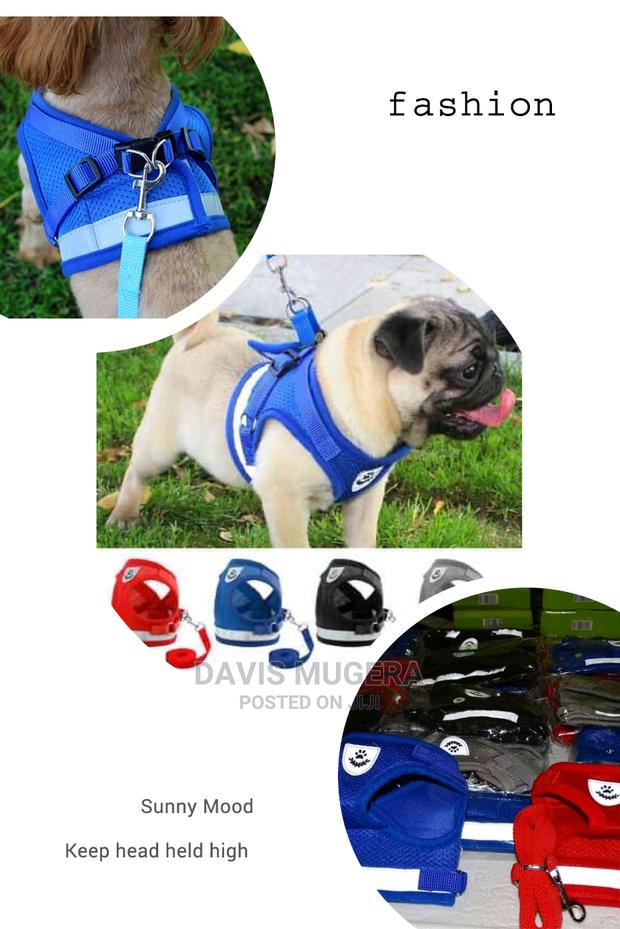 Padded Dog Harness and Leash - Small Size - thumbnail 3