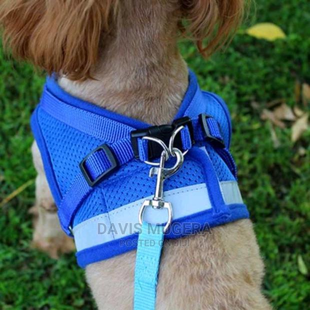 Padded Dog Harness and Leash - Small Size - thumbnail 5