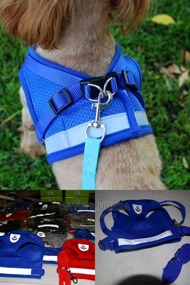 Padded Dog Harness and Leash - Small Size - thumbnail 4