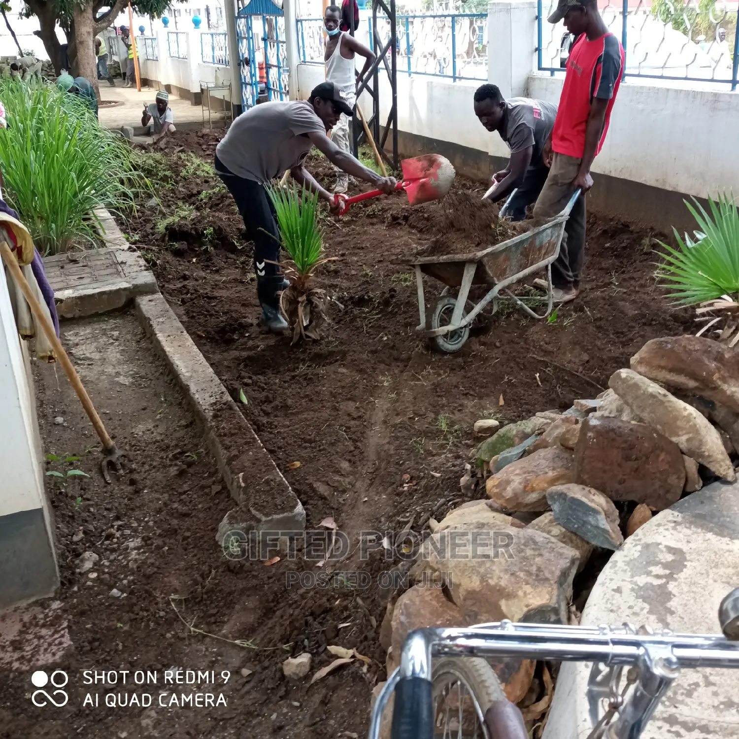 Best Grass Planting and Cutting/ Flowering