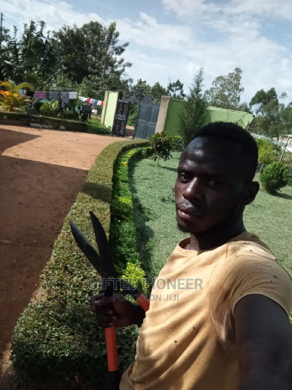 Best Grass Planting and Cutting/ Flowering
