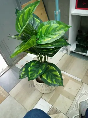 Green Artificial Plants