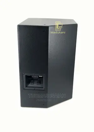 EV ELX115 Passive 15 Inch Two Way Midrange Loud Speaker