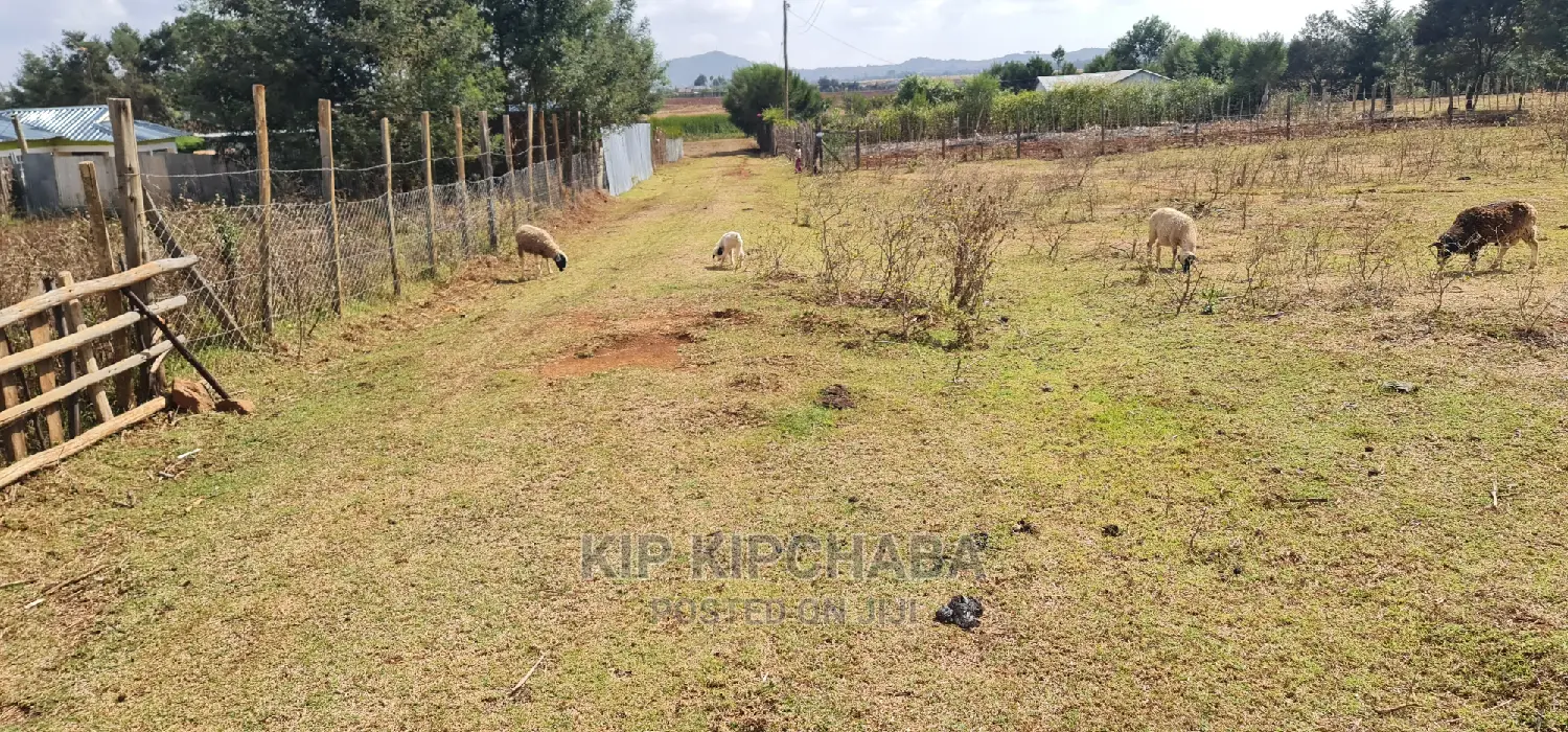 1⁄8 Plot for Sale in Chepkanga Iten Road in Eldoret