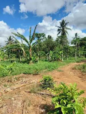 For Sale 2 Acre Land Ukunda