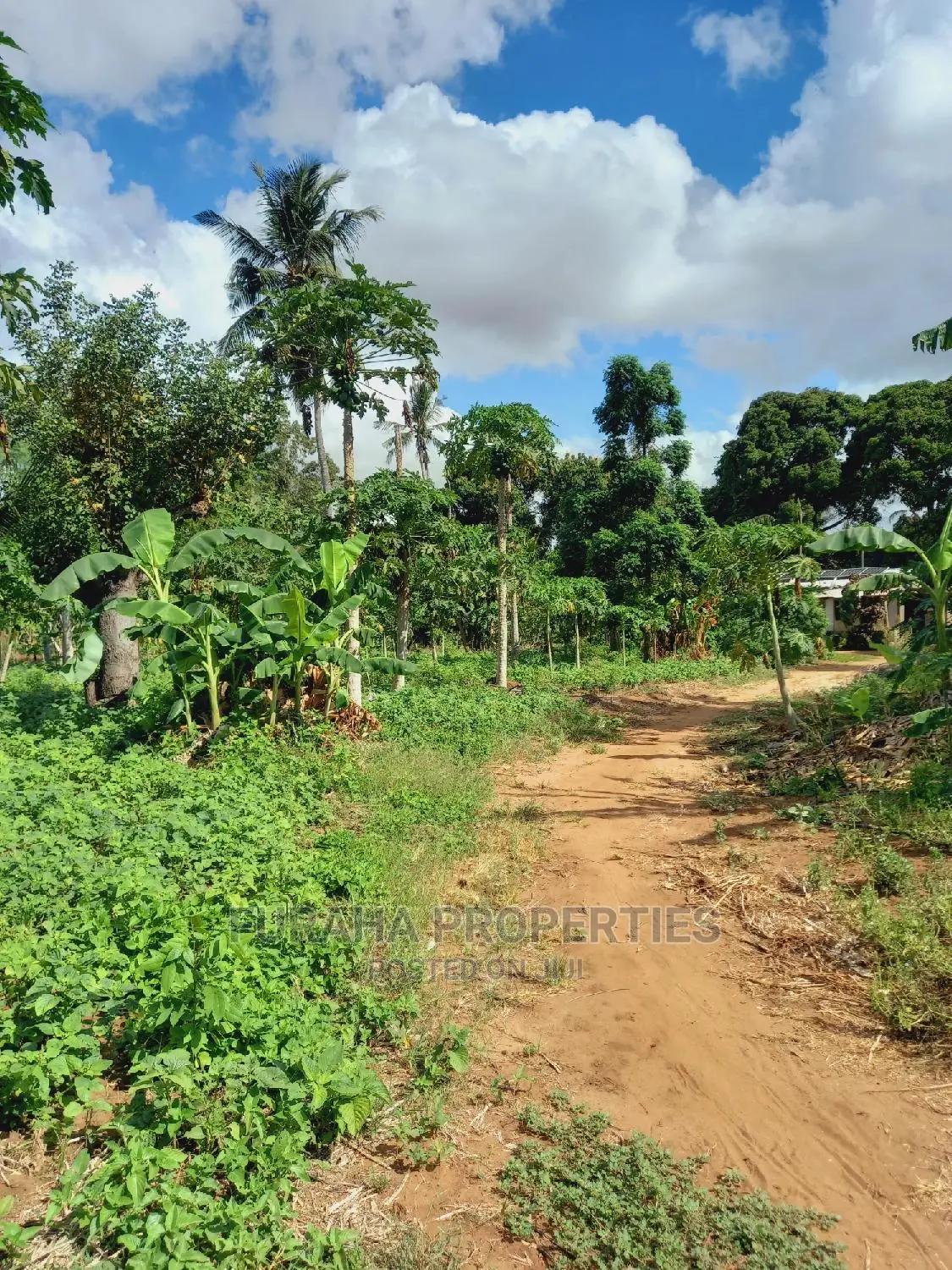 For Sale 2 Acre Land Ukunda