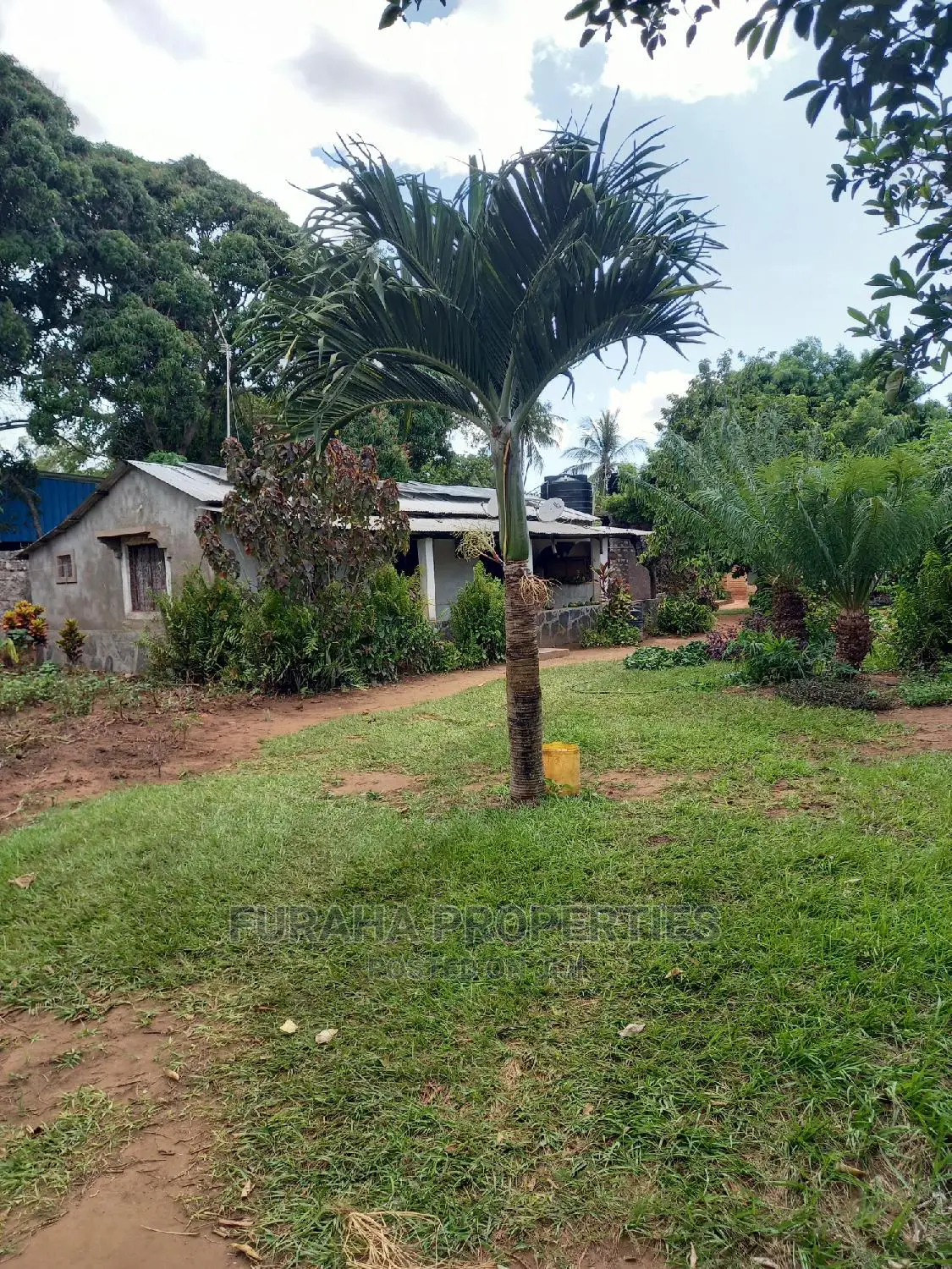 For Sale 2 Acre Land Ukunda