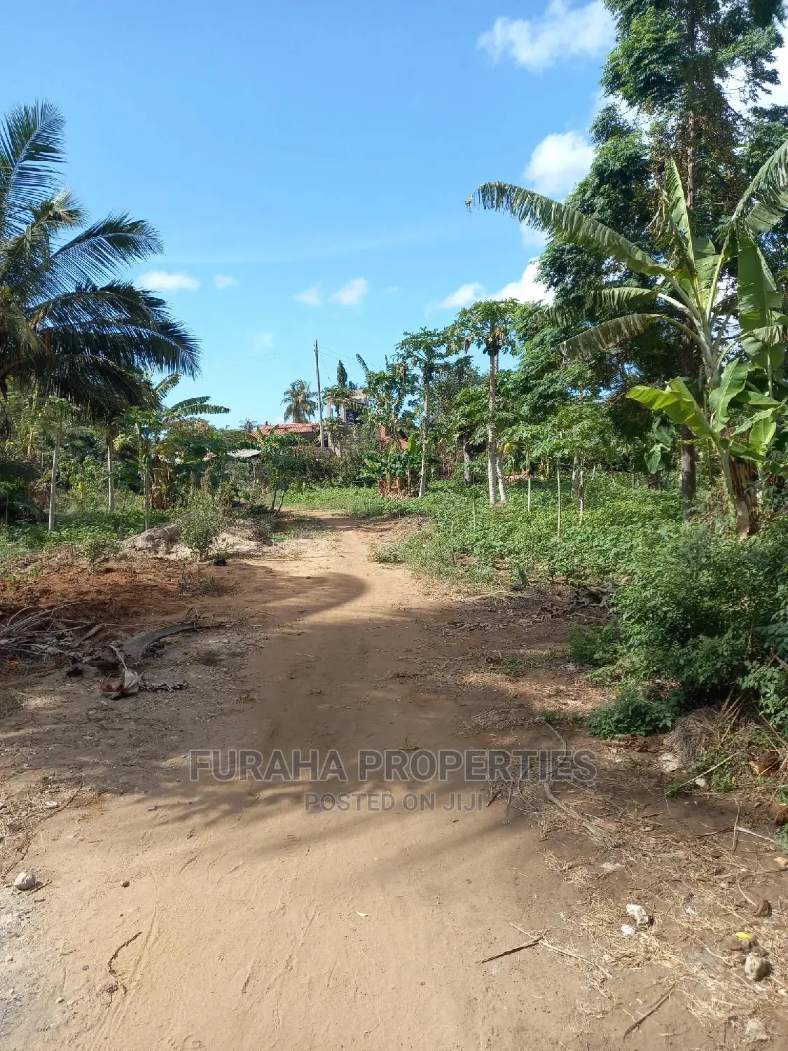 For Sale 2 Acre Land Ukunda