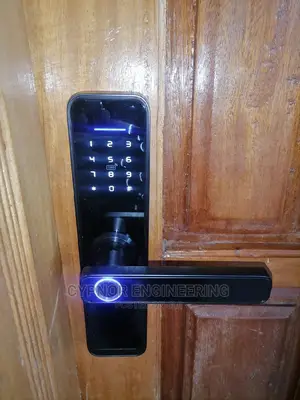 Fingerprints and Password Locks