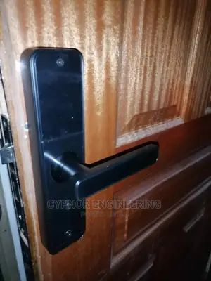 Locks With Fingerprint
