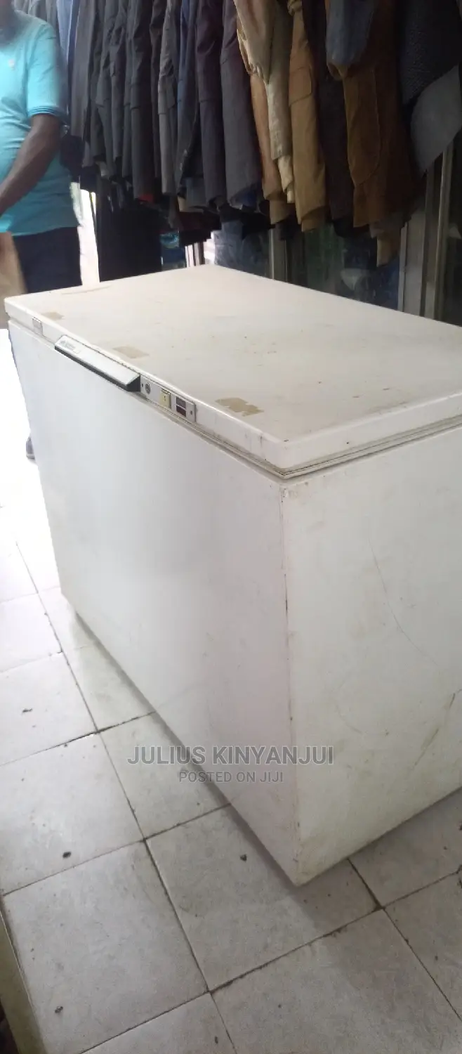 Deep Freezer 450L