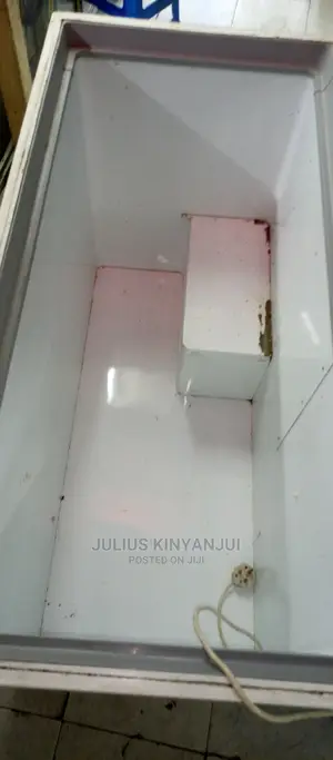 Deep Freezer 450L