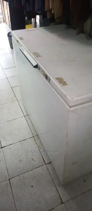 Deep Freezer 450L