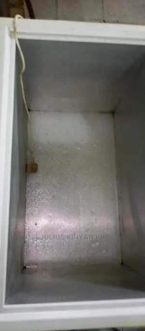 Deep Freezer 230L