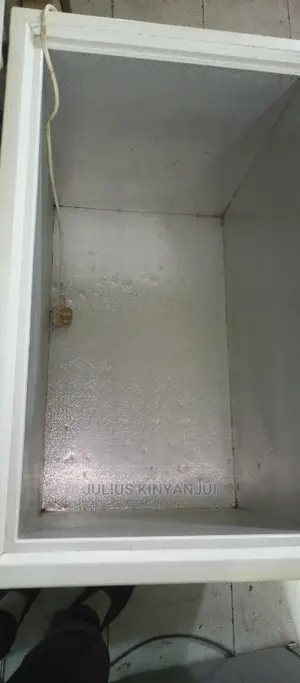 Deep Freezer 230L