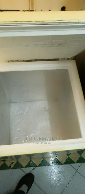 Deep 100L Freezer