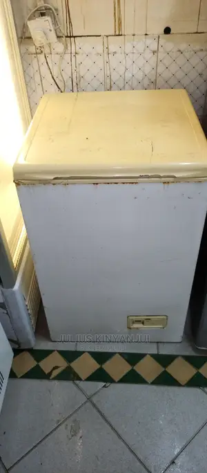Deep 100L Freezer
