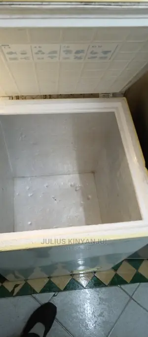 Deep 100L Freezer
