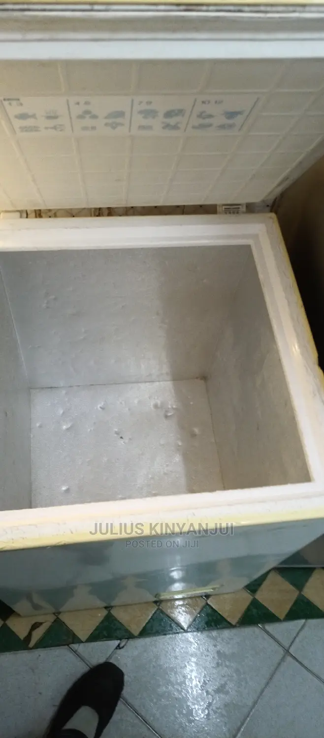 Deep 100L Freezer