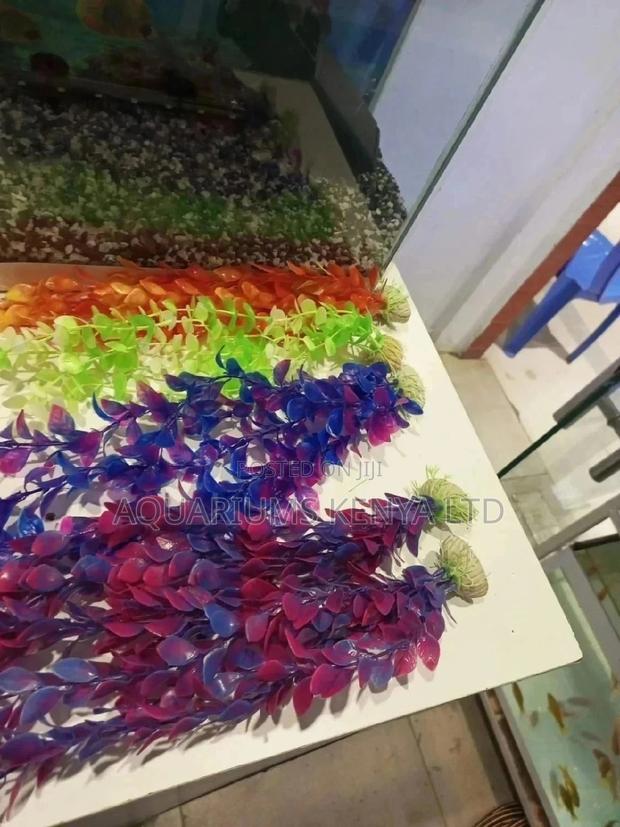 Aquaruim Plastic Plants - main view