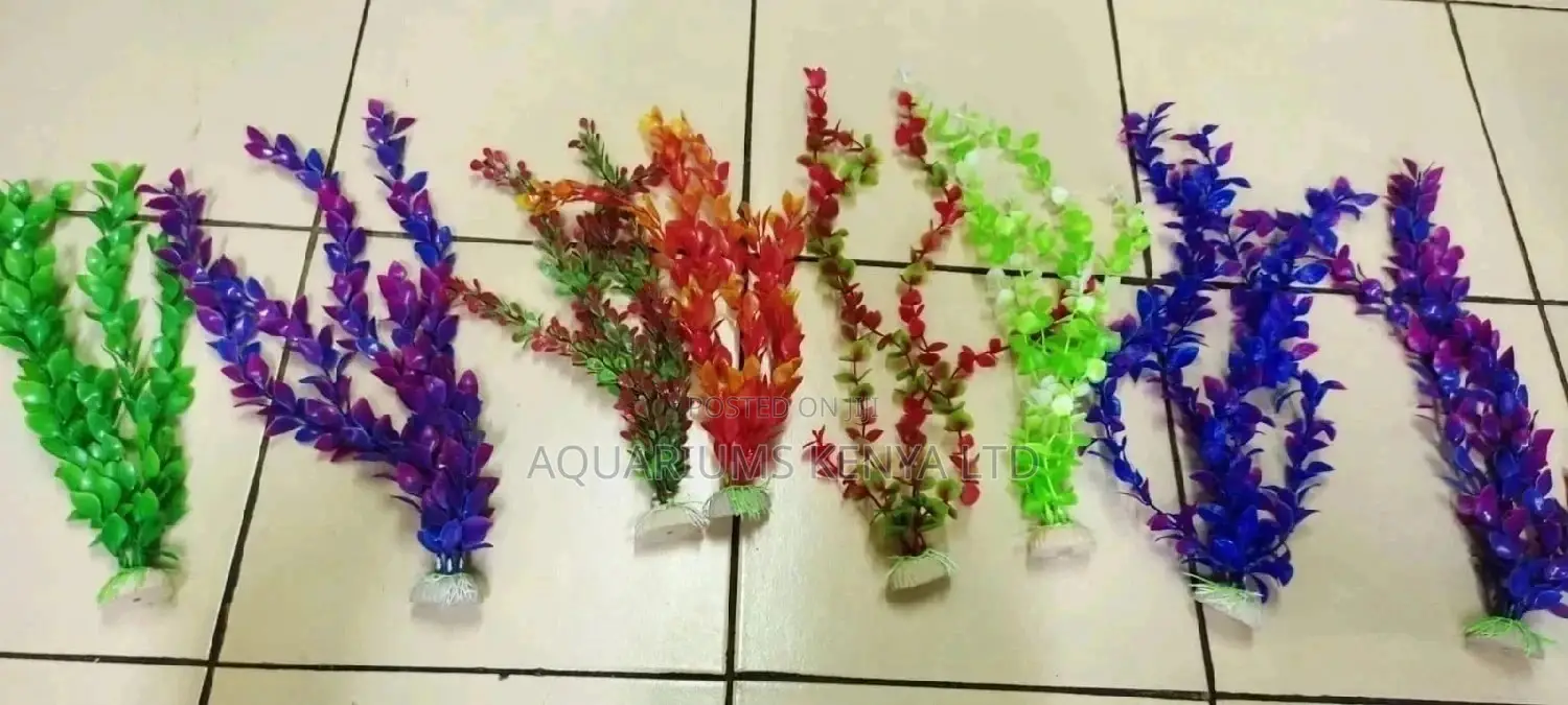 Green,Red,Purple,Orange Colourful Plants