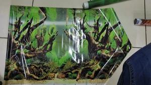 Aquarium Paper Background,Aquarium Background - thumbnail 2