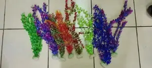 Assorted Colourful Plants