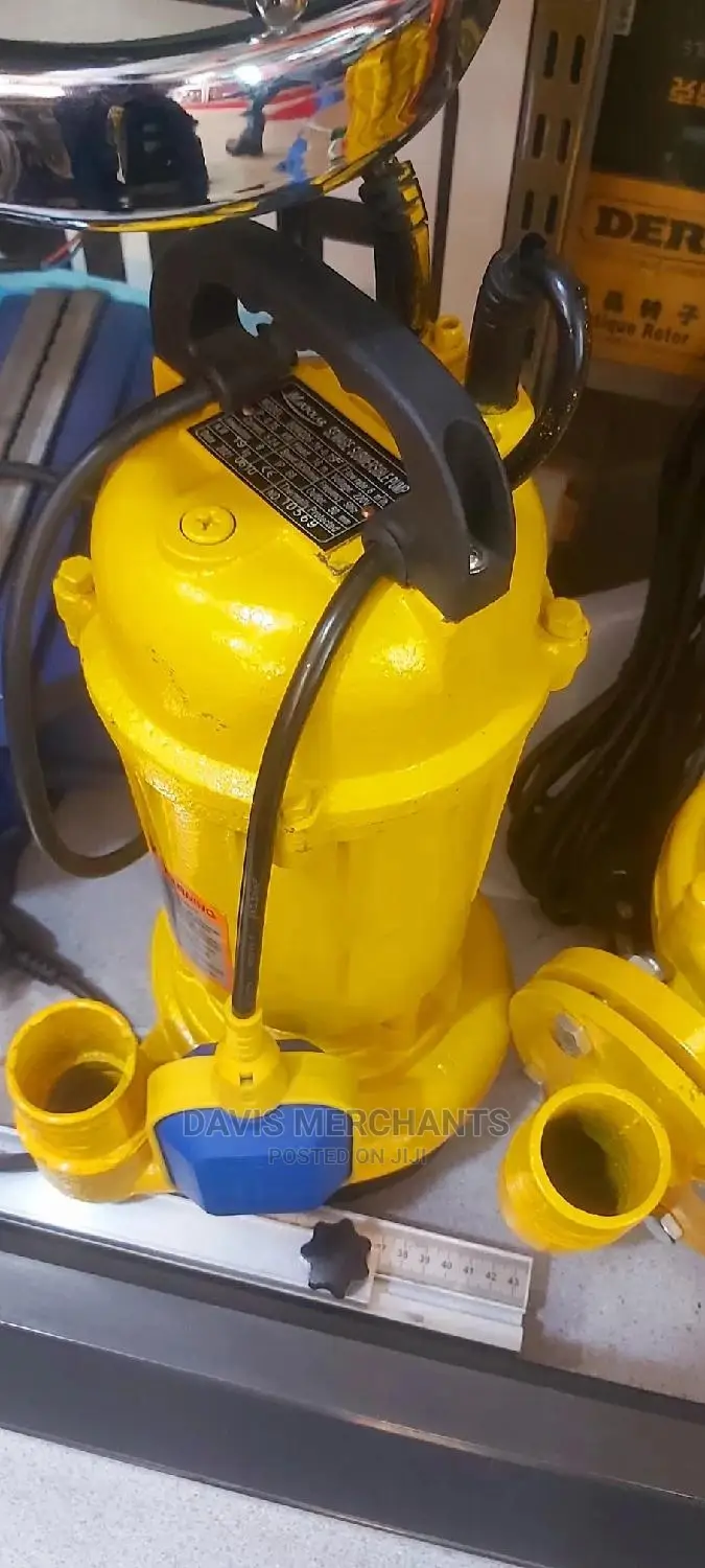 Sewage Pump With 2" Outlet