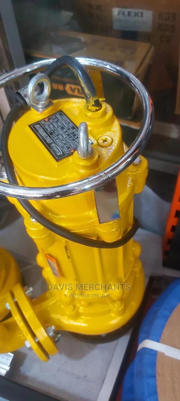 Sewage Pump High Productivity - main view