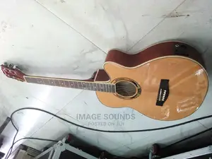Semi-Acoustic Ibanez- Brown