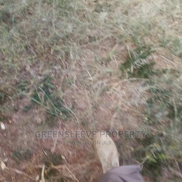 Kirarapion Diver Pot for Sell - main view