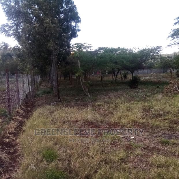 Kirarapion Diver Pot for Sell - thumbnail 2