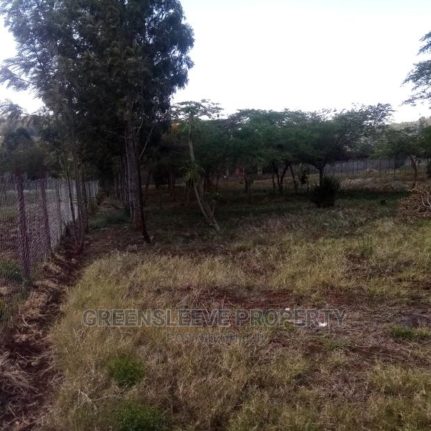 Kirarapion Diver Pot for Sell - thumbnail 3