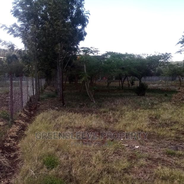 Kirarapion Diver Pot for Sell - thumbnail 4