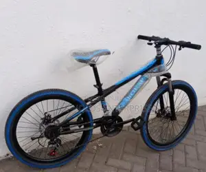Size 24 Bicycles.