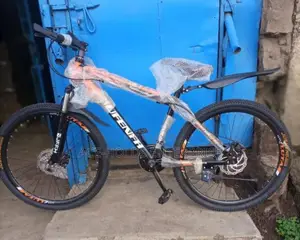 Brand New Premier Size 24 Bicycles