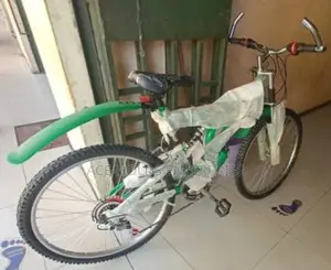 Premier Size 24 Bicycles