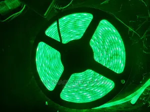 Snakelight 12v and 24v Different Colours Available