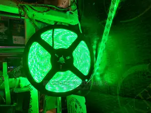 Snakelight 12v and 24v Different Colours Available